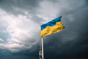 Политолог счёл некомпетентными высказывания главы Минюста Украины о жалобе РФ в ЕСПЧ