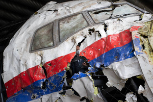 СМИ: Нидерланды хотят выслать россиян, предоставивших информацию по делу MH17