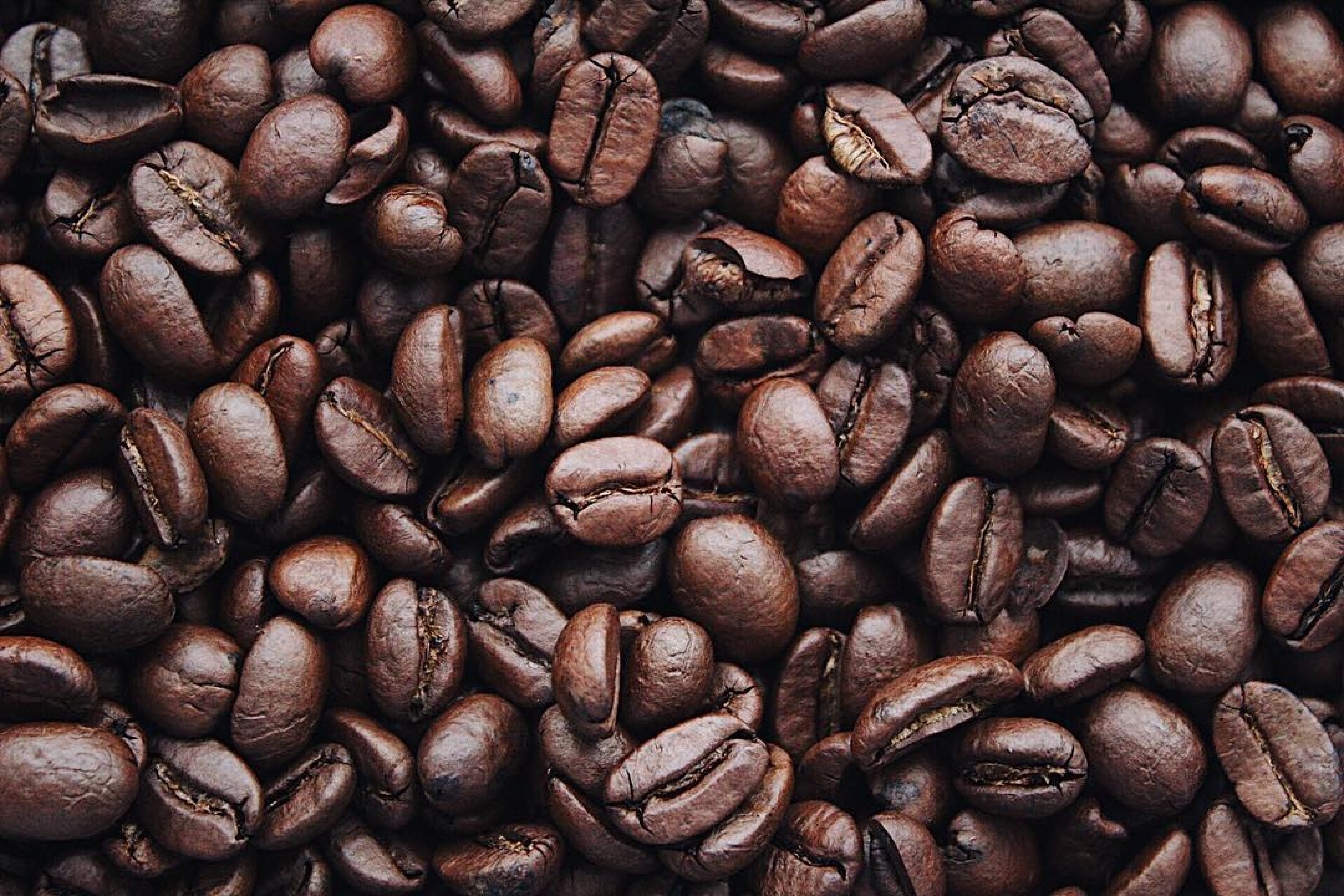 Кофе. Арабика 4р1. Кофе в зернах. Кофейные зерна. Натуральный кофе.