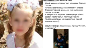 Под Харьковом 6-летнюю девочку убил 13-летний сосед, который пугал своей жестокостью весь посёлок