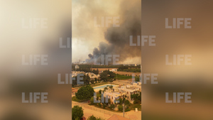 Посольство РФ: Централизованной эвакуации из отелей в горящем Мармарисе нет