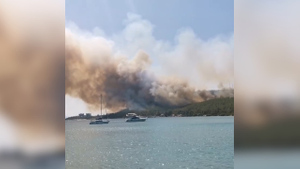 Лесные пожары вспыхнули ещё в ряде провинций Турции
