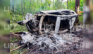 BMW вылетел с трассы в Подмосковье и полностью сгорел, погибли трое