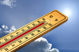 В Канаде от 50-градусной "африканской" жары за неделю погибло свыше 700 человек