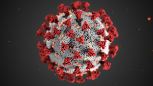 Учёный объяснил, способен ли коронавирус встроиться в геном человека