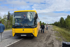 Как в "Пункте назначения": На Ямале водителя автобуса убило вылетевшим из грузовика ломом