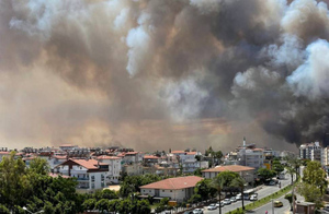 Эрдоган объявил зоной бедствия пострадавшие от лесных пожаров регионы Турции
