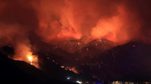 Эрдоган раскрыл вероятную причину масштабных лесных пожаров в Турции
