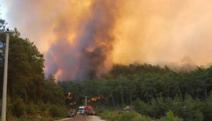 Двое рабочих погибли при тушении лесных пожаров в Турции