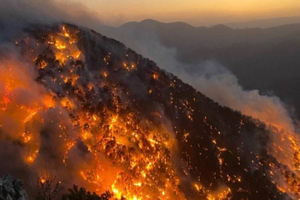 Число жертв масштабных лесных пожаров в Турции возросло до восьми