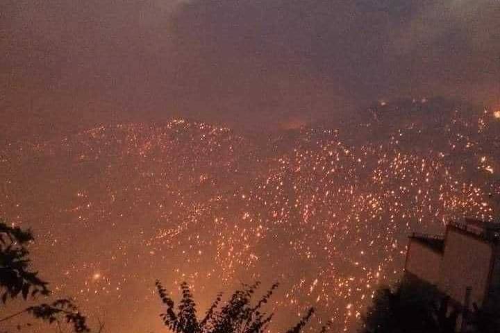 Не менее 25 военнослужащих погибли в Алжире во время тушения лесных пожаров