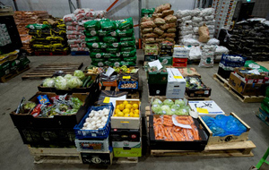РЭО призвал отказаться от упаковки овощей и фруктов в магазинах