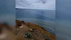 "Выглядит не очень классно": Нефтяная плёнка в Чёрном море добралась до побережья Анапы
