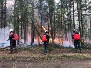 В Якутии и Иркутской области ввели межрегиональный режим ЧС из-за лесных пожаров
