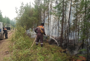 Общая площадь лесных пожаров в Якутии превысила семь миллионов гектаров
