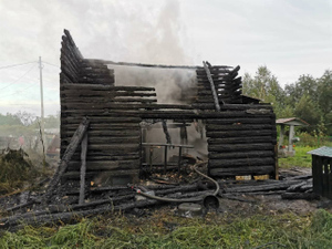 В Архангельской области семья из четырёх человек заживо сгорела в частном доме