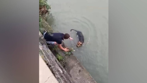 В Сочи прохожие спасли собаку, которая не могла выбраться из реки