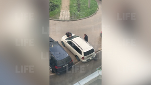 "Давай вылазь!": Пьяный москвич переехал друга, который залез на капот ради его спасения