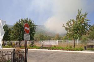 Более 700 детей эвакуировали из лагеря в Башкирии из-за природного пожара