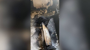 В Перми взорвавшийся электросамокат разнёс квартиру и привёл к пожару