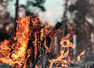 Учёные выяснили, что дым от лесных пожаров повлиял на заболеваемость ковидом