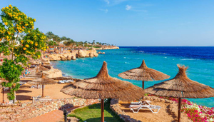 В туротрасли спрогнозировали снижение цен на отдых в Египте на 30%
