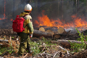 В МЧС назвали человеческий фактор причиной лесных пожаров в Якутии