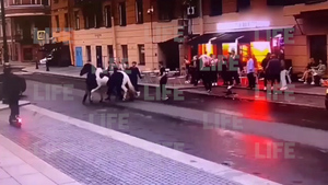 В Петербурге возомнившие себя гусарами пьяные парни устроили битву с лошадью