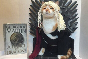 Библиотечный котик покорил сердца читателей, превращаясь в известных героев, и это 10 лучших образов