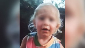 Двухлетнюю девочку, пропавшую в Смоленской области, нашли живой