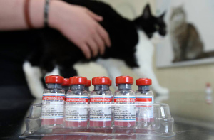 Первой в мире вакциной от ковида для животных производства РФ заинтересовались 15 стран