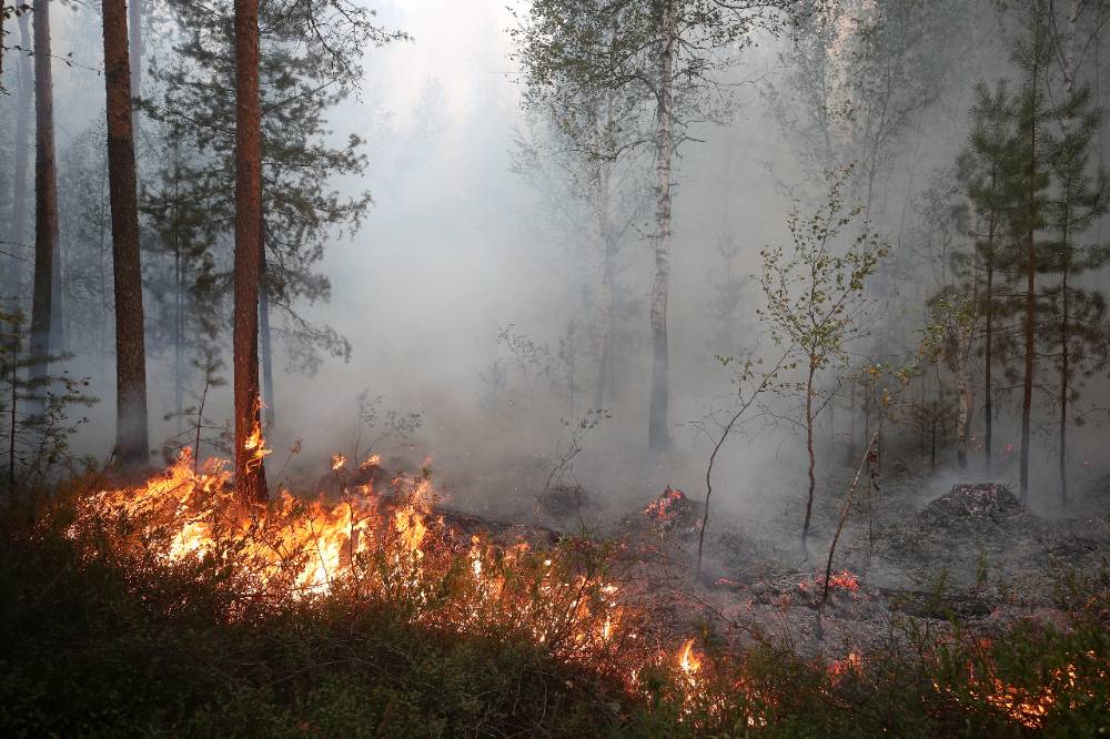 К тушению лесных пожаров в Самарской области привлекут более ста военных