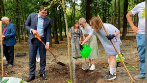 Четверть миллиона деревьев высадят в Нижегородской области в рамках акции "Сохраним лес"