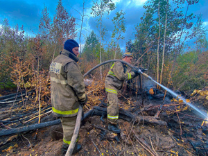 Межрегиональный режим ЧС ввели в Нижегородской области и Мордовии из-за пожаров