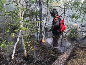 В МЧС заявили о практически полной ликвидации лесных пожаров в Якутии
