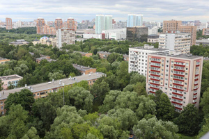 Вице-премьер Абрамченко поддержала идею Шойгу о постройке мегаполисов в Сибири