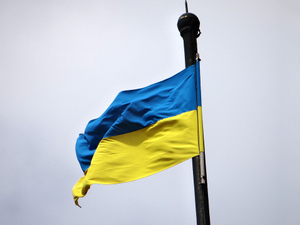 "Надо качать права и наезжать": Ницой пожаловалась, что украинцы вынуждены опускаться до уровня других стран