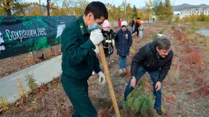 Чукотка присоединилась к всероссийской акции "Сохраним лес"