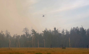 Глава Рослесхоза рассказал о ситуации с лесными пожарами в России