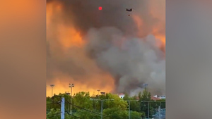 Масштабные лесные пожары охватили Грецию и приблизились к Афинам