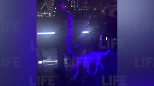 На свадьбу Моргенштерна в Москве нагрянула полиция с собаками