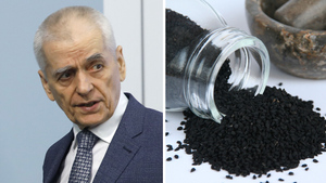 Онищенко оценил идею использования чёрного тмина для лечения ковида