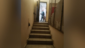 СК и полиция возбудили два уголовных дела после побега из изолятора в Истре
