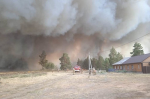 Площадь, пройденная огнём лесных пожаров в России, превысила 6 млн га