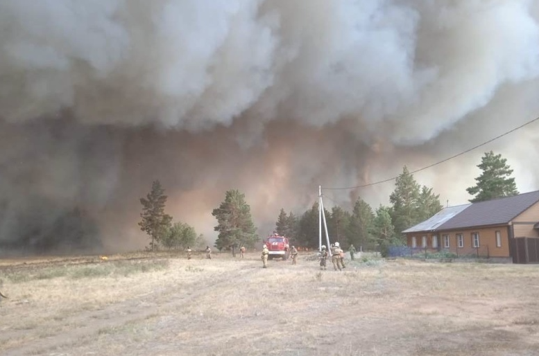 Площадь, пройденная огнём лесных пожаров в России, превысила 6 млн га