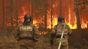 Путин назвал регионы РФ, которые наиболее пострадали от лесных пожаров
