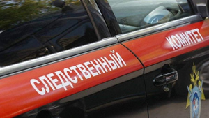 Бастрыкин: В Красноярском крае предотвращено нападение на школу