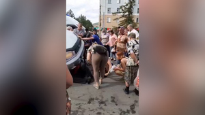 Объединились всей толпой: В Омске прохожие подняли автомобиль, чтобы спасти велосипедиста 