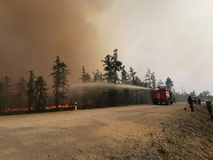 Путин поручил оказать помощь россиянам, пострадавшим от лесных пожаров