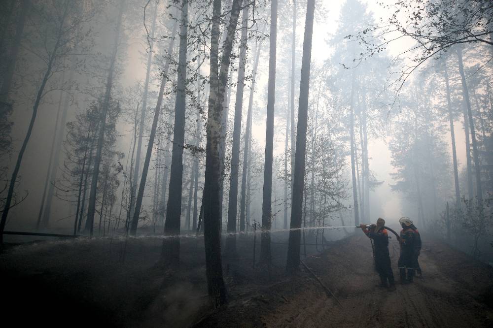 В Мордовии потушили природный пожар на территории заповедника